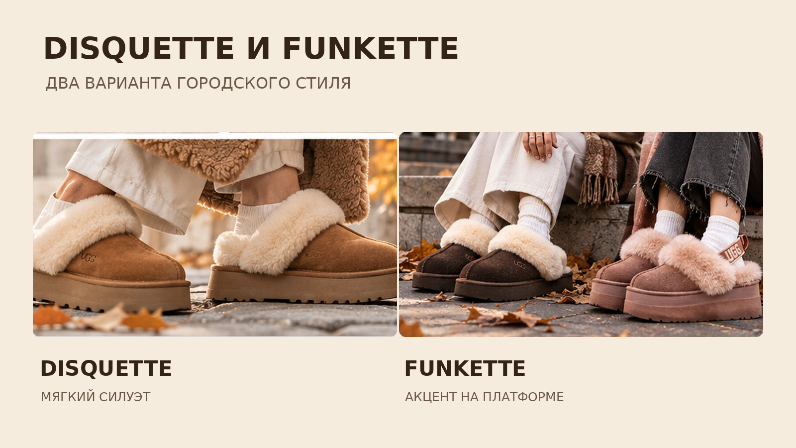 Disquette � Funkette � ������� ��������� ����� � ������������� �����������